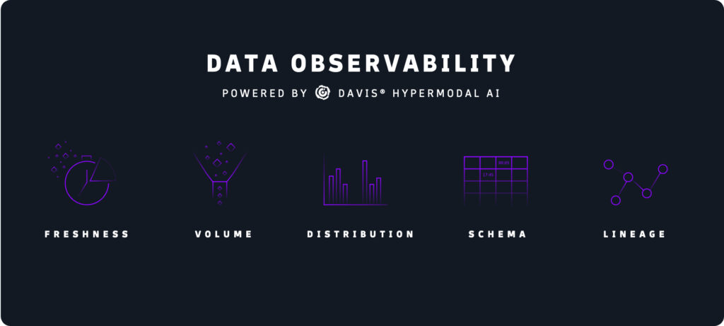 Data Observability para su plataforma de análisis 