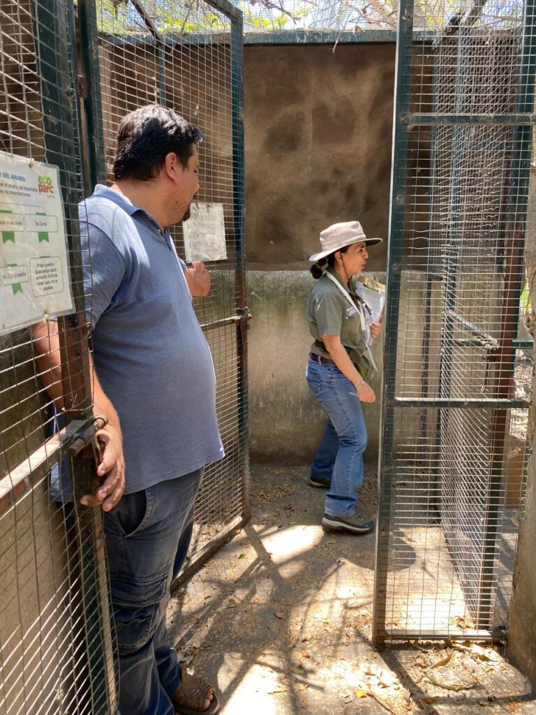 Aseguran todos los animales de Ecoparc en Colima