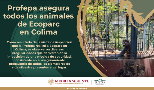 Aseguran todos los animales de Ecoparc en Colima