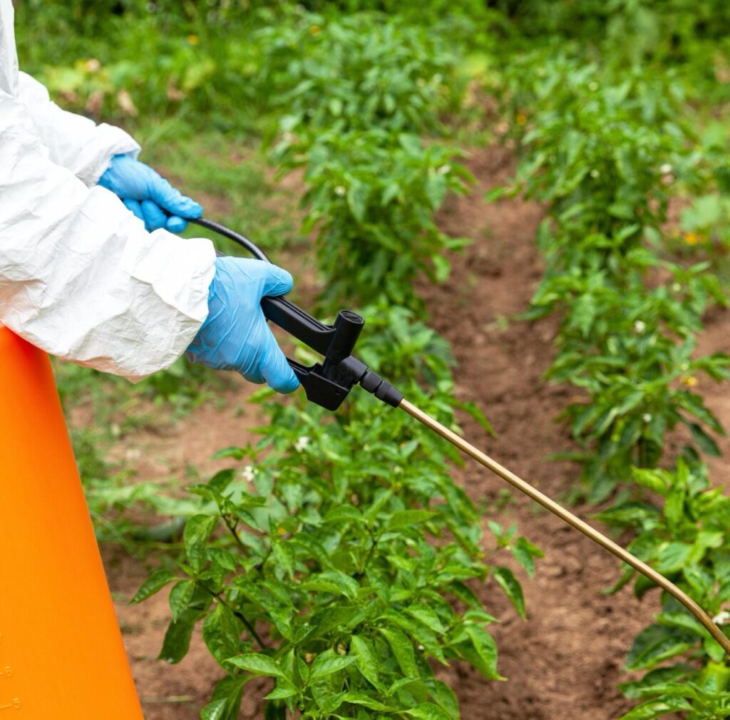 Agroquímicos como “la medicina del campo”: UMFFAAC