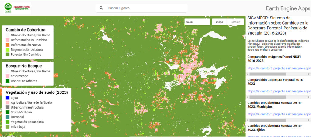 Deforestadas más de 285 mil hectáreas en Yucatán