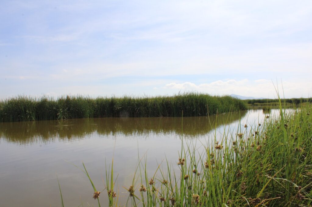 Lago de Texcoco ya cuenta con Programa de Manejo