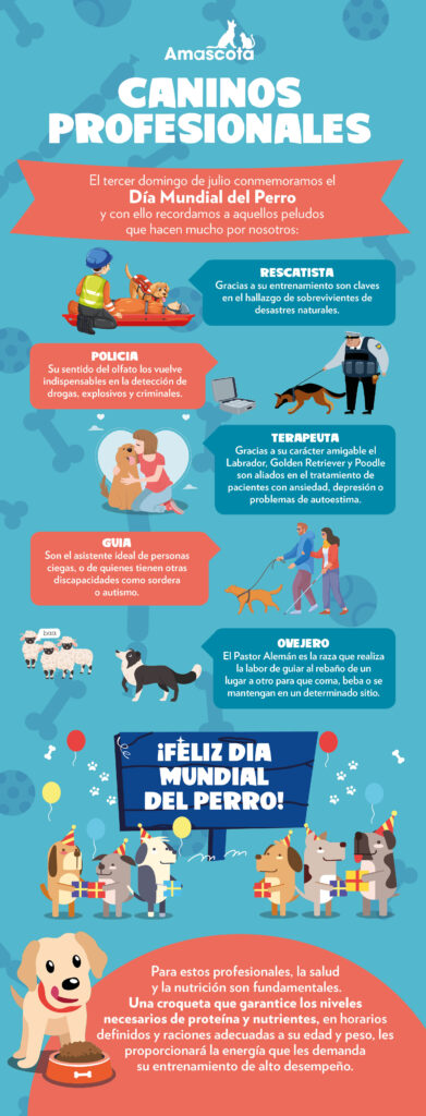 Día del Perro: los caninos son unos profesionales