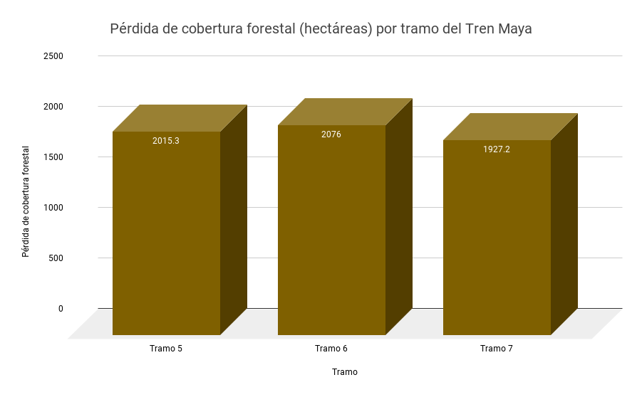 Gobierno Federal deforestó más de 6 mil hectáreas 