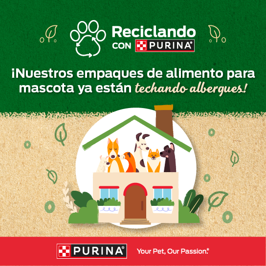 Recicla junto a tu amigo sus empaques de alimento 