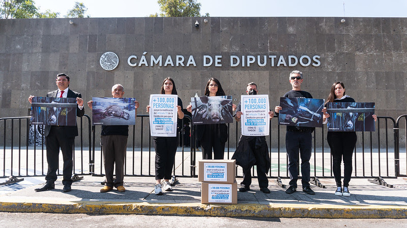 Aplazan incluir protección animal en la Constitución