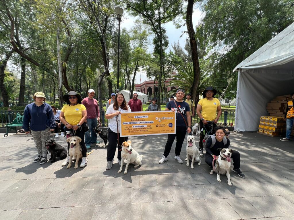 GoodPoints™ para parque de perros del Kiosco Morisco