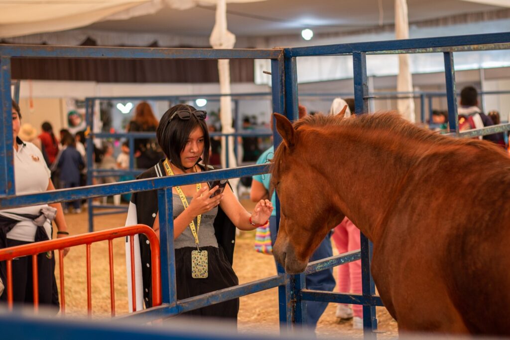 Feria Nacional de la Cultura Rural para las infancias  