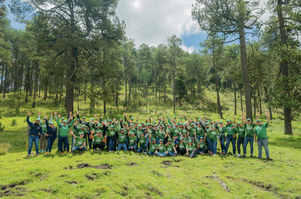 Reforestan más de 7 hectáreas de bosques  