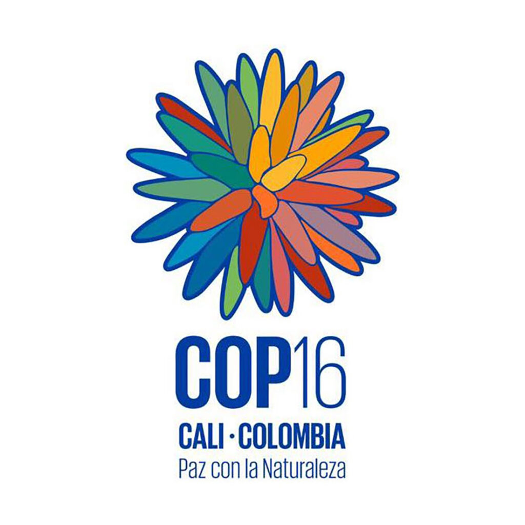 COP16 en Cali finaliza con algunos avances