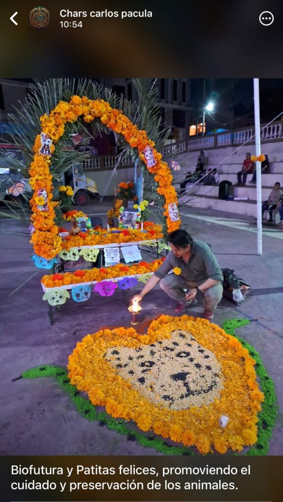 Realizan el Día de Muertos en honor al jaguar 