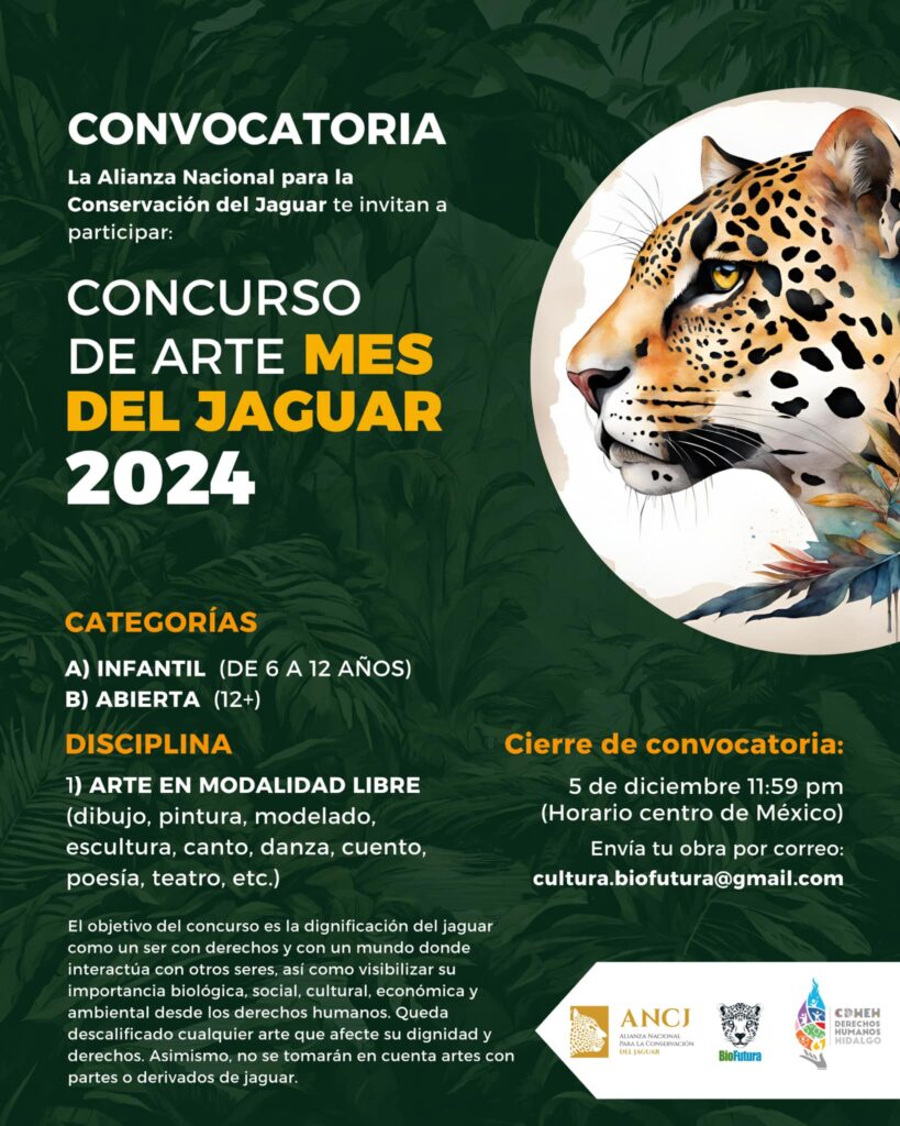 Celebremos al jaguar: un mes por la biodiversidad