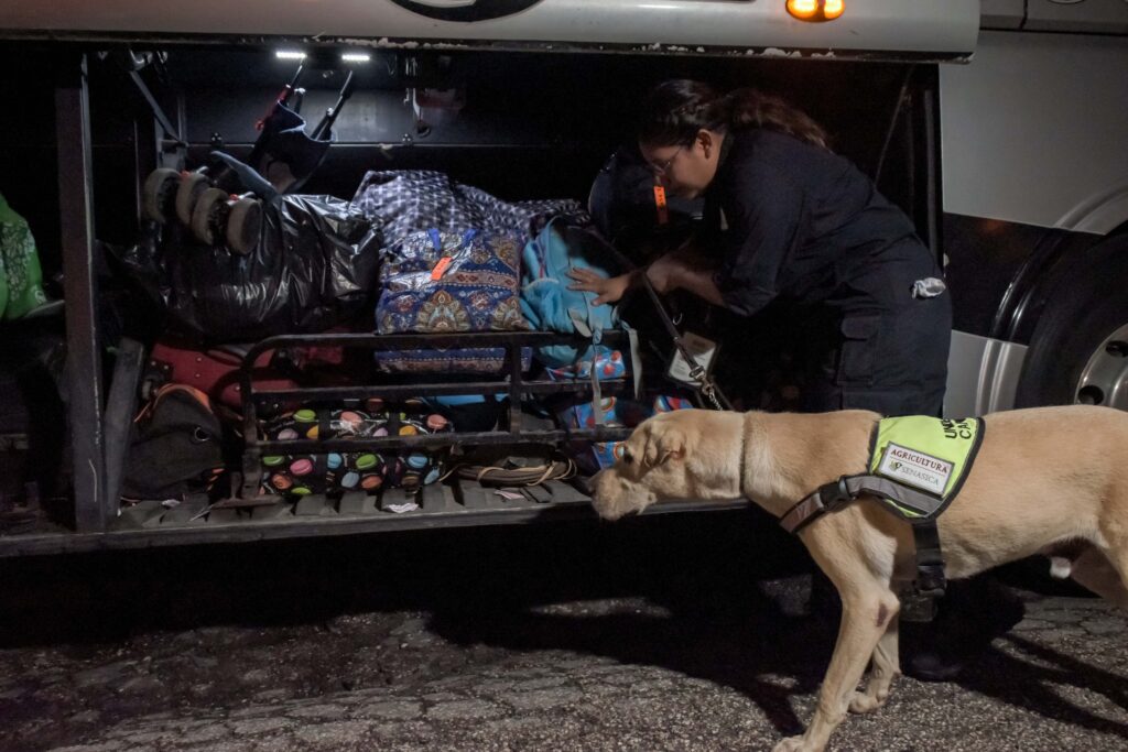 Incorporan a 13 nuevos binomios caninos 