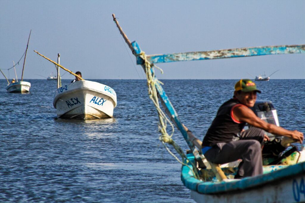 Promueven conservación de especies marinas en Yucatán