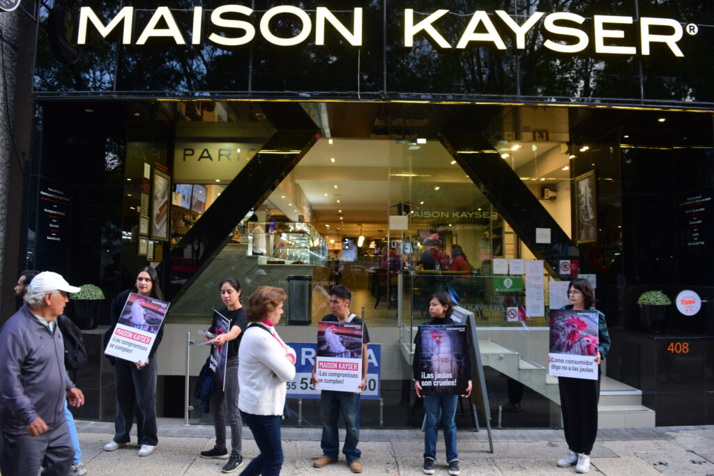 Exhiben a Maison Kayser: no informa de #NoMásJaulas 