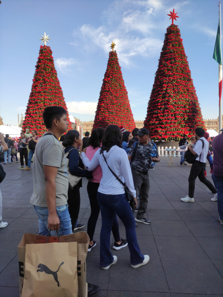 Árboles de nochebuena en verbena navideña del Zócalo