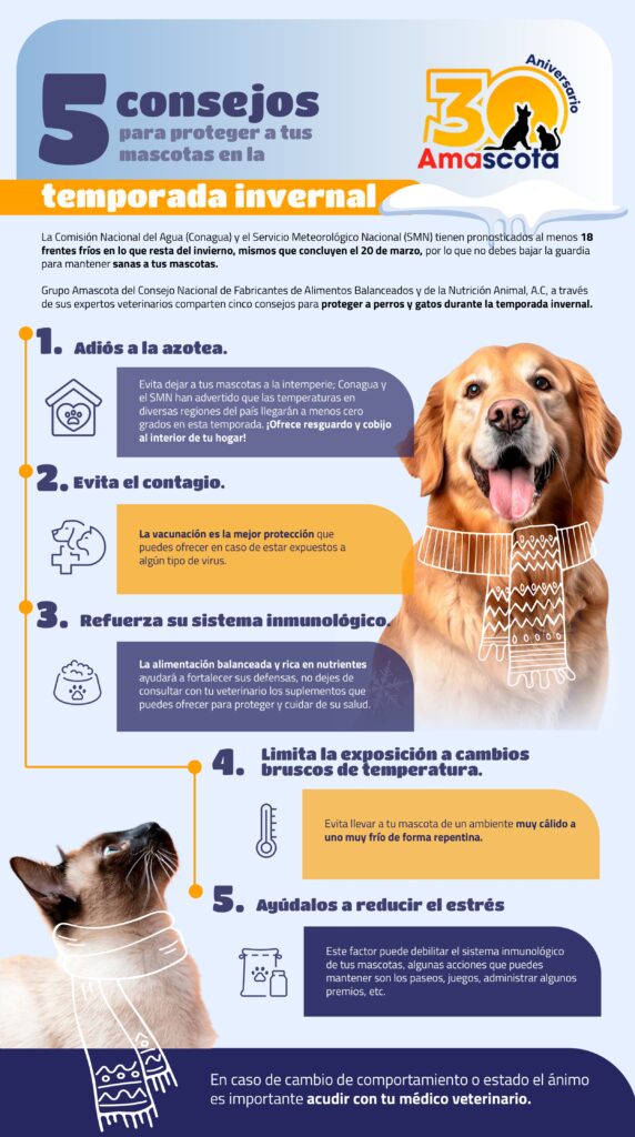 Cinco consejos para proteger a tus animales en invierno