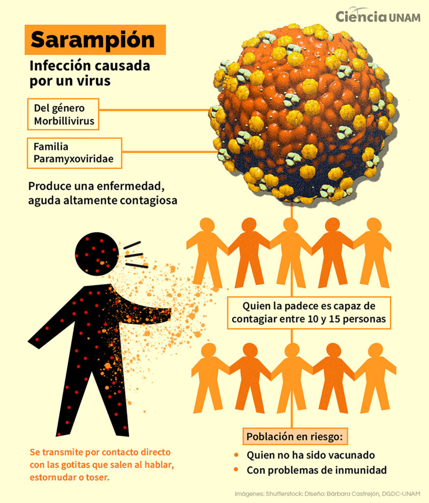 Sarampión: enfermedad reemergente