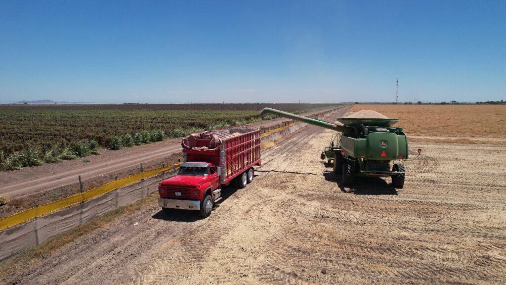 Se disparan nerviosismo en sector agroalimentario