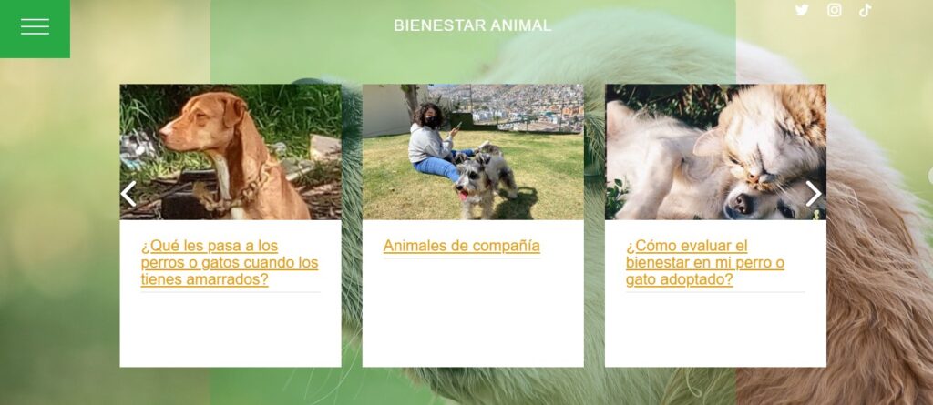 Llama PAOT a adoptar con responsabilidad animales