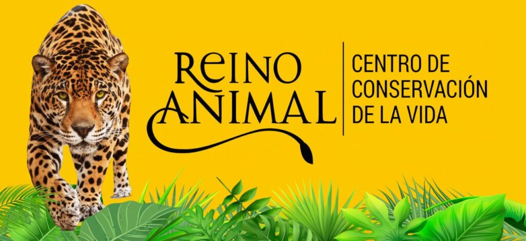 Distinguen a Reino Animal por responsabilidad ambiental