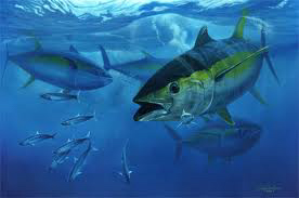 Día Mundial del Atún: México y la pesca responsable