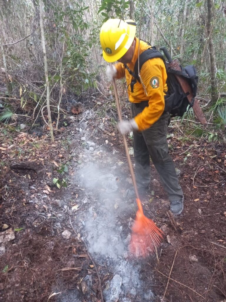 Combaten incendio forestal “El Porvenir” en Isla Mujeres