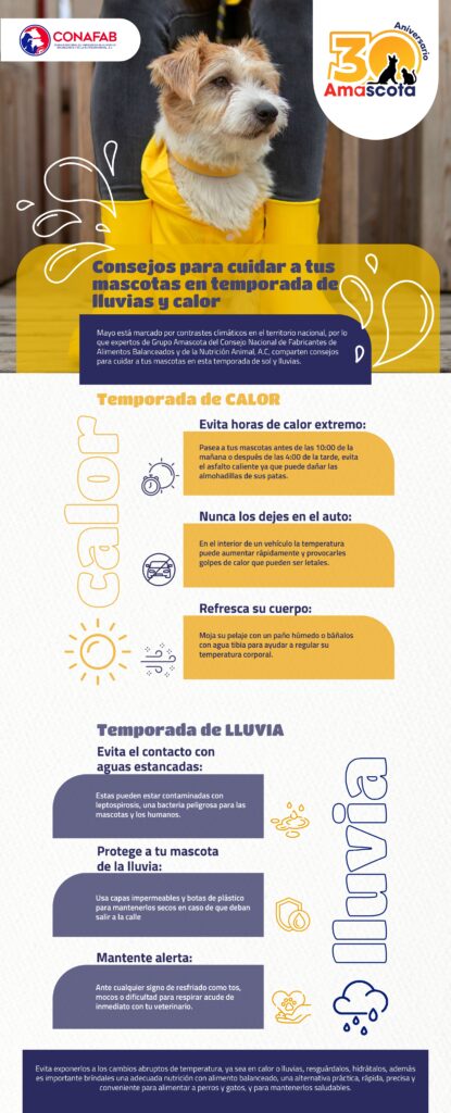 Cómo cuidar a tu animal de compañía ante lluvias y calor