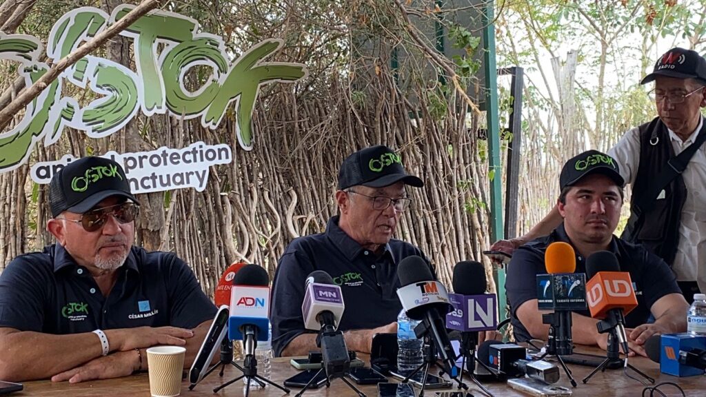 Por la incesante violencia: Ostok deja Culiacán
