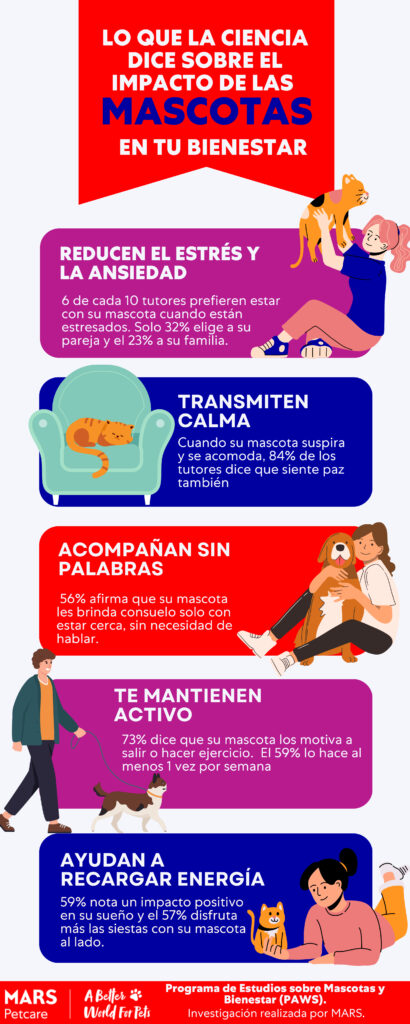 Cuál es el impacto de tu animal en tu bienestar