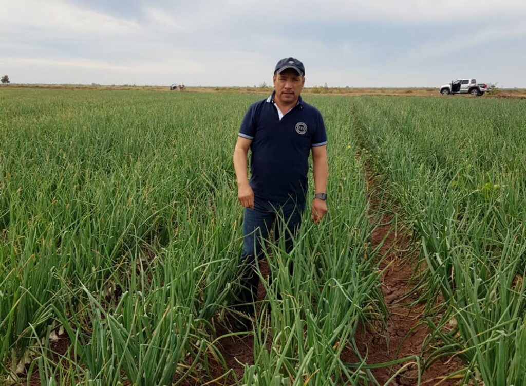 Productores agrícolas enfrentan embestida
