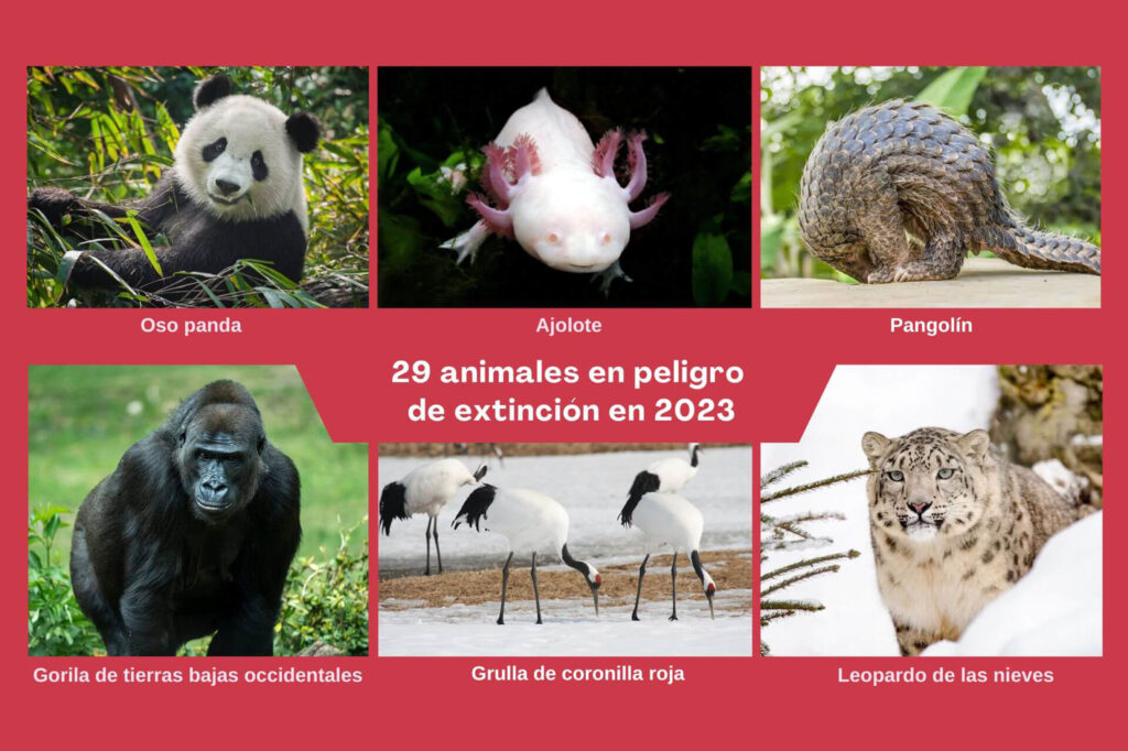 Un kilo de carne requiere más de 15 mil litros de agua