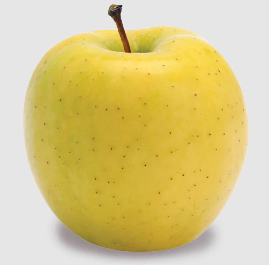 Guía Visual de las Manzanas: rojo- verde o amarillo