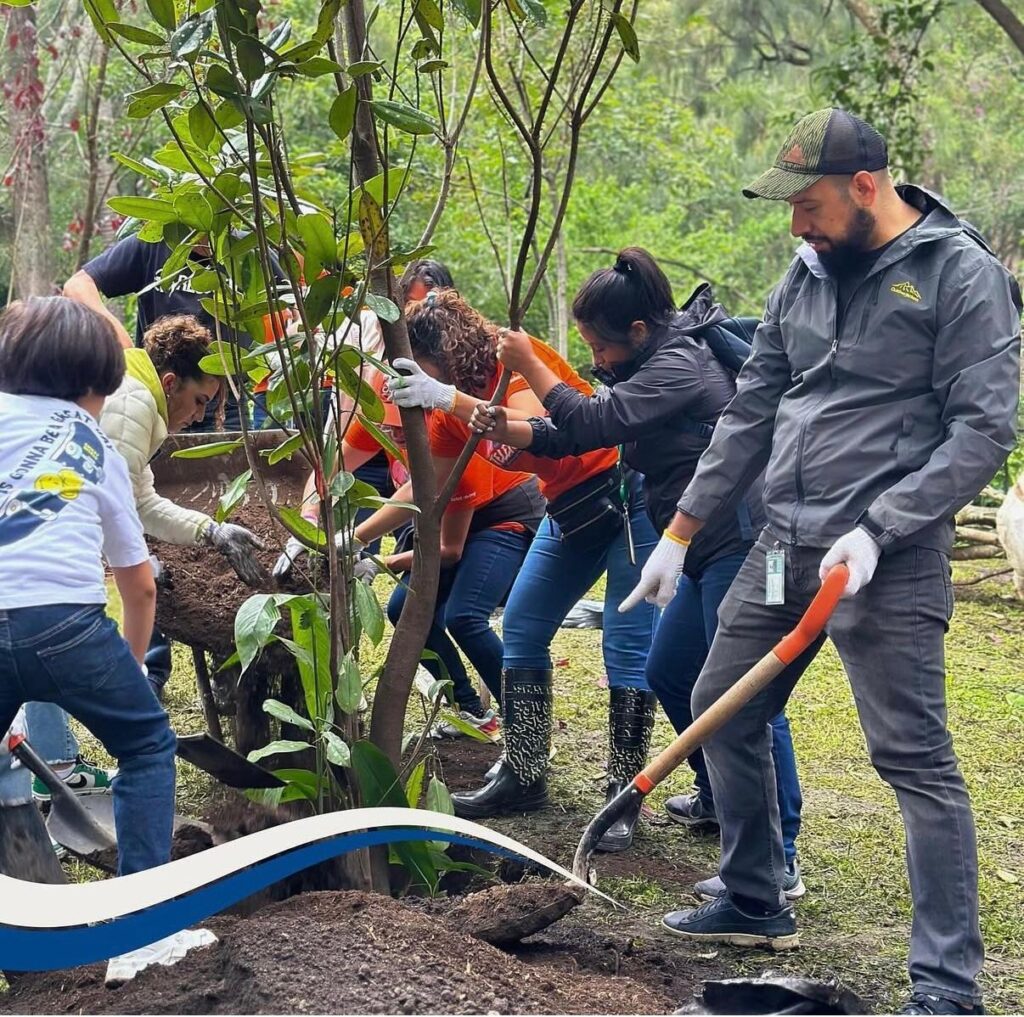 Recolectan más de 200 toneladas de residuos reciclables