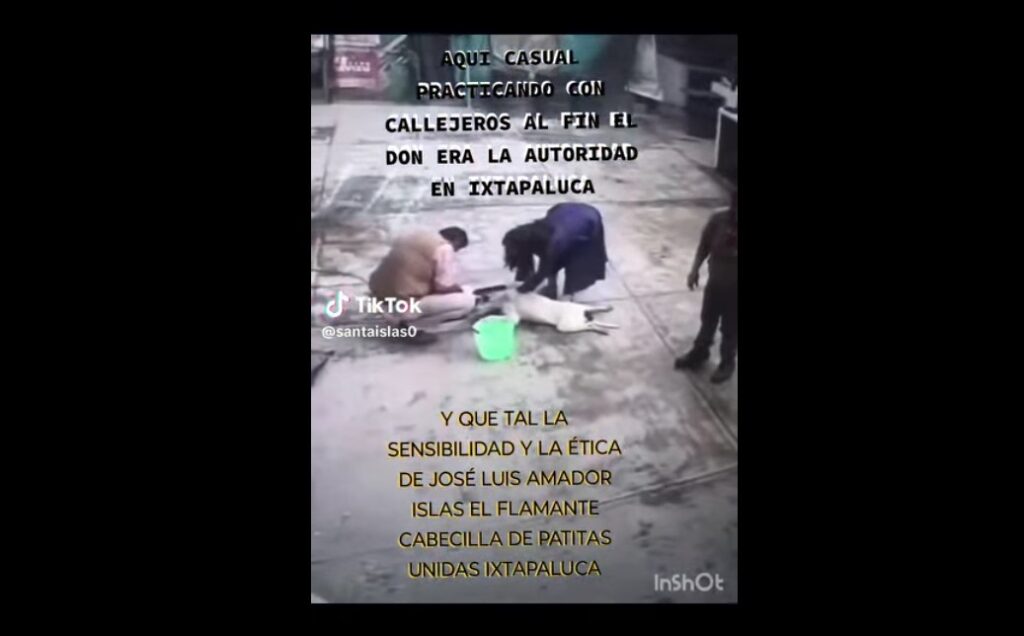 Investigan maltrato en Bienestar Animal de Ixtapaluca