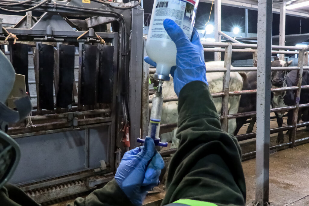 Amplian vigencia en Emergencia de Sanidad Animal