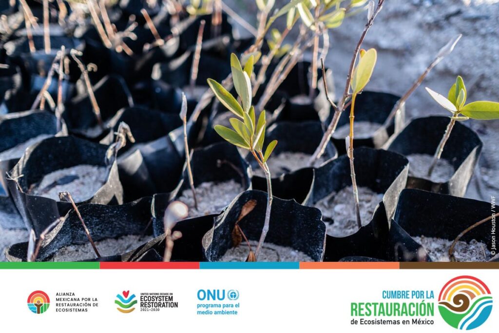 Presentan Programa de Restauración Ambiental