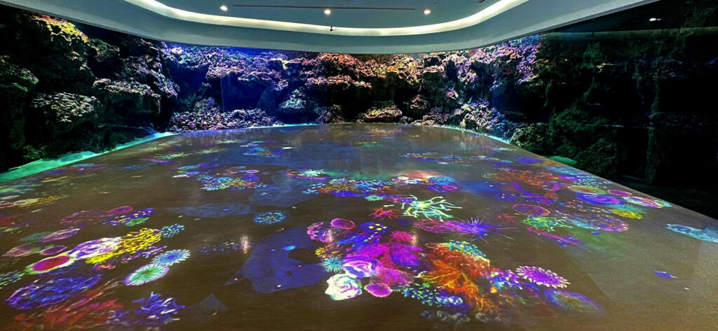 Nueva experiencia digital oceánica en el acuario Xpark