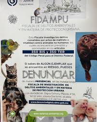 Crean Agencia para Investigar maltrato animal en CDMX