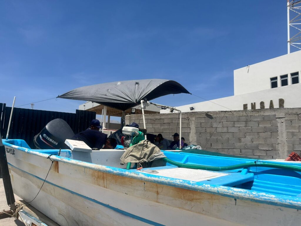 Fortalecen acciones contra pesca ilegal con monitoreo