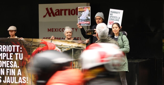Inician campaña a Marriott International 