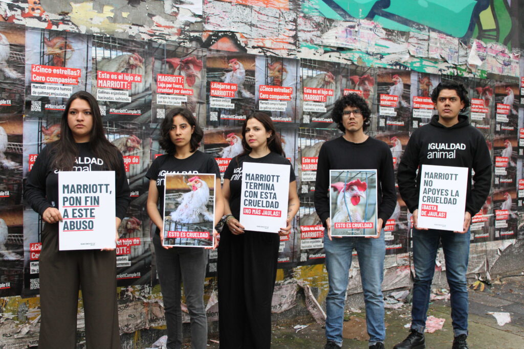 Inician campaña a Marriott International 