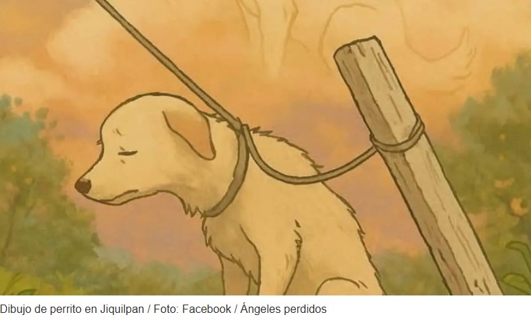 Exigen sanciones por crueldad a perrito en Jiquilpan