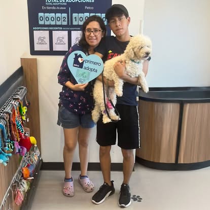 Día Mundial del Perro: llamado a la adopción responsable 