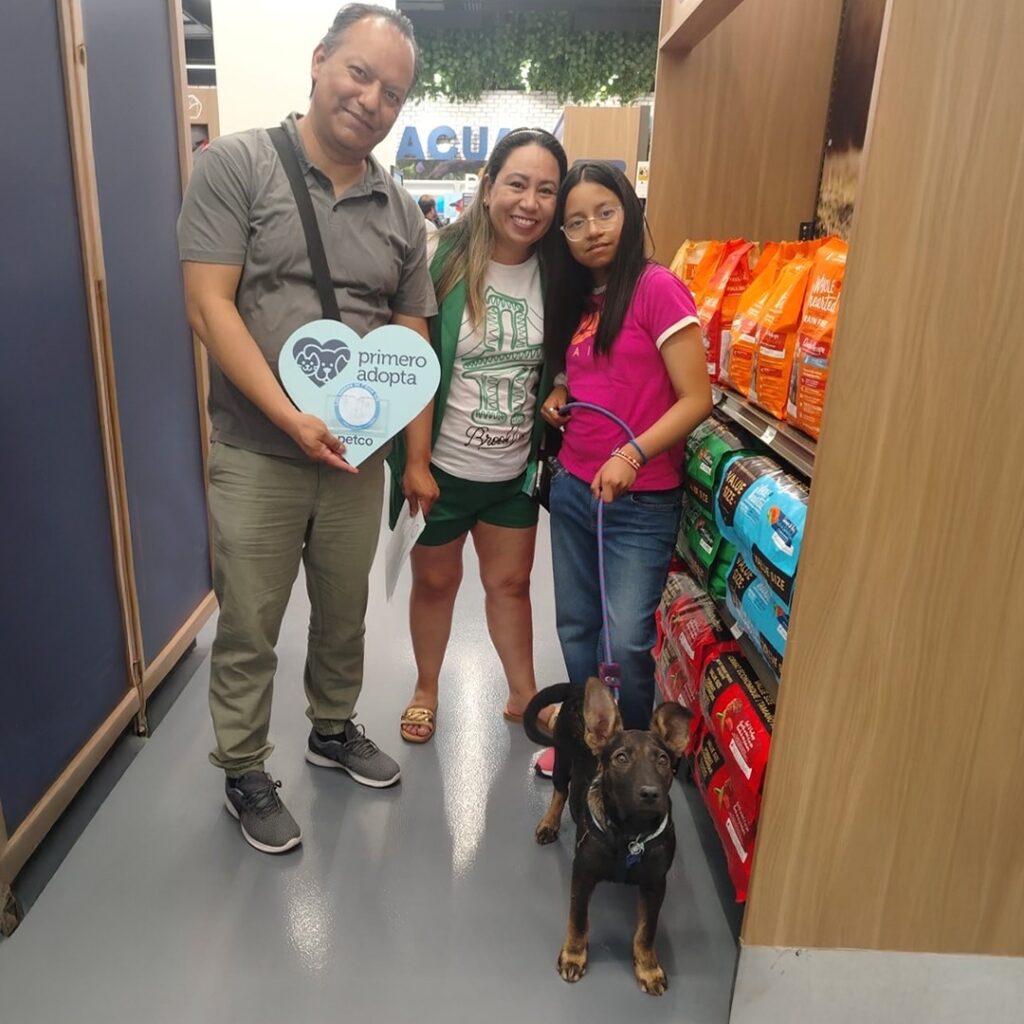 Día Mundial del Perro: llamado a la adopción responsable 