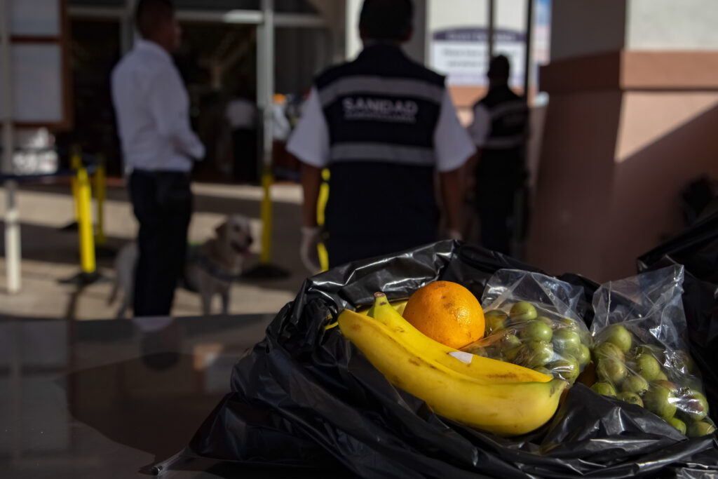 Refuerzan vigilancia sanitaria en vacaciones de verano 