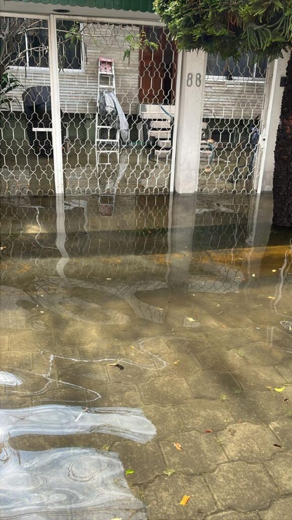 Inundaciones arrastran a Bosques de Aragón 