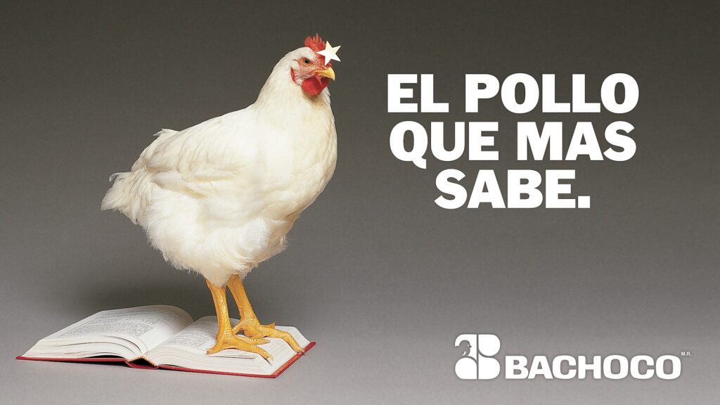 “El trabajo en Bachoco es el peor” : ex empleado 
