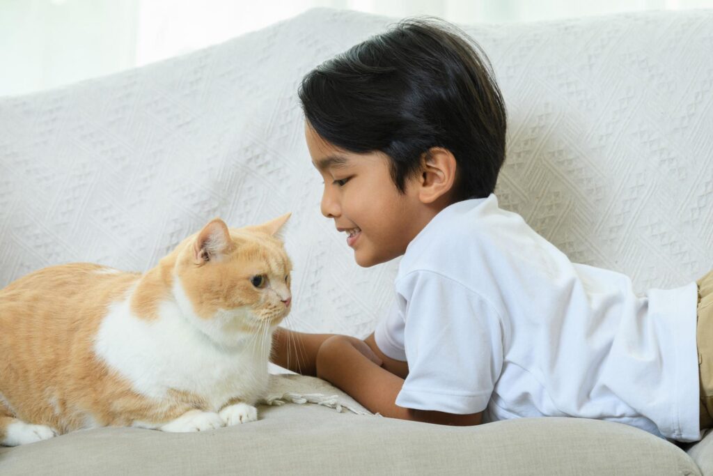 Pequeños bigotes- grandes cuidados: Día del Gato 