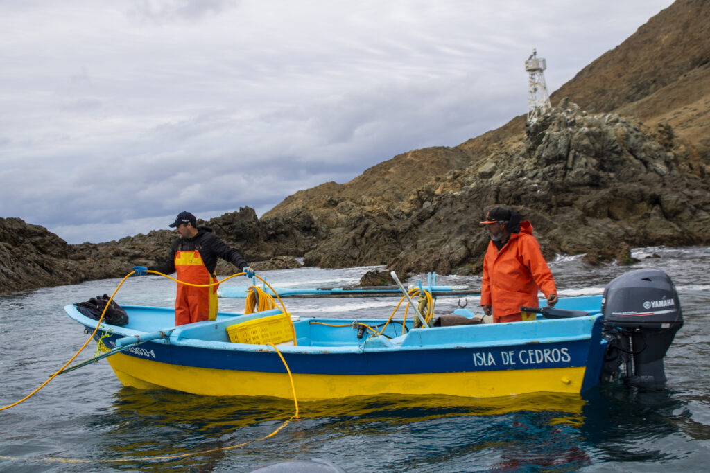 Periodos de veda y aprovechamiento de especies marinas